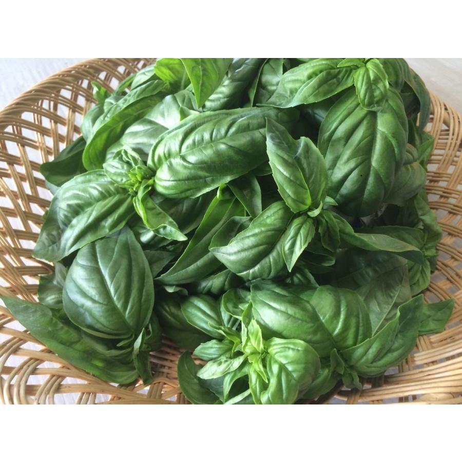 フレッシュグループ淡路島の香るハーブと彩り野菜セット　季節の１２〜１４種の厳選こだわり詰合わせ |  | 03