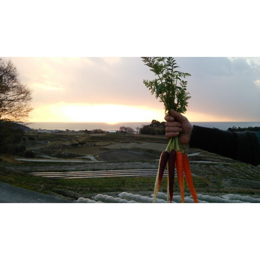 フレッシュグループ淡路島の香るハーブと彩り野菜セット　季節の１２〜１４種の厳選こだわり詰合わせ |  | 04