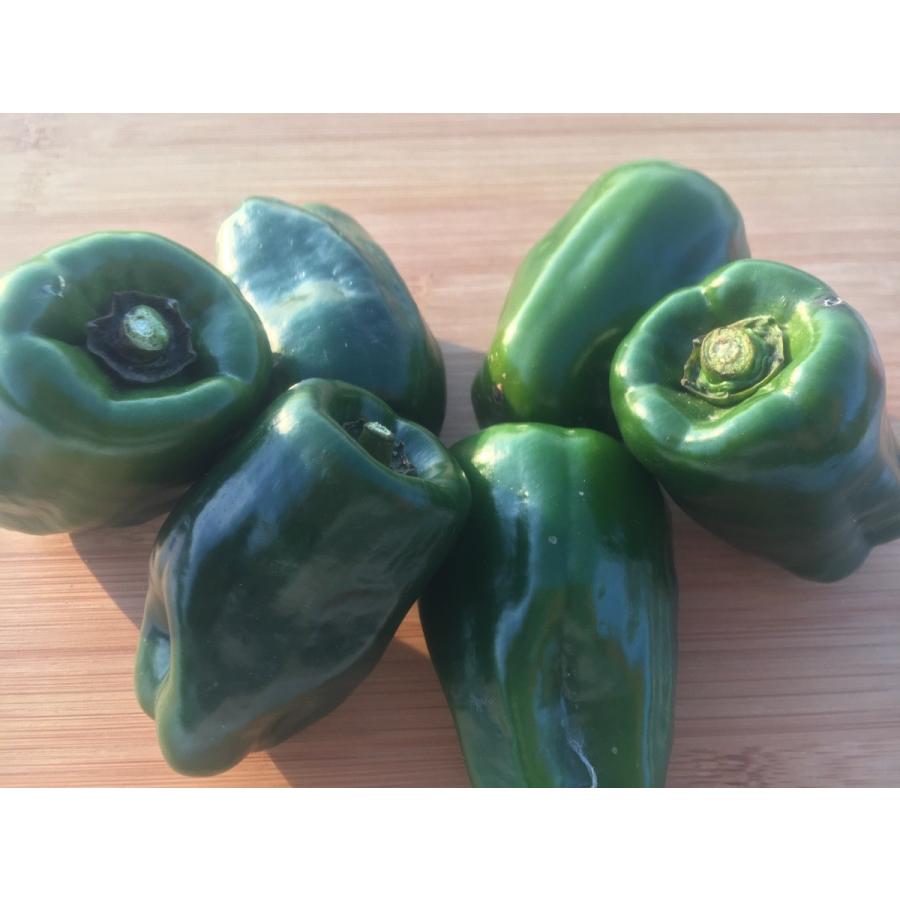 フレッシュグループ淡路島の香るハーブと彩り野菜セット　季節の１２〜１４種の厳選こだわり詰合わせ |  | 07