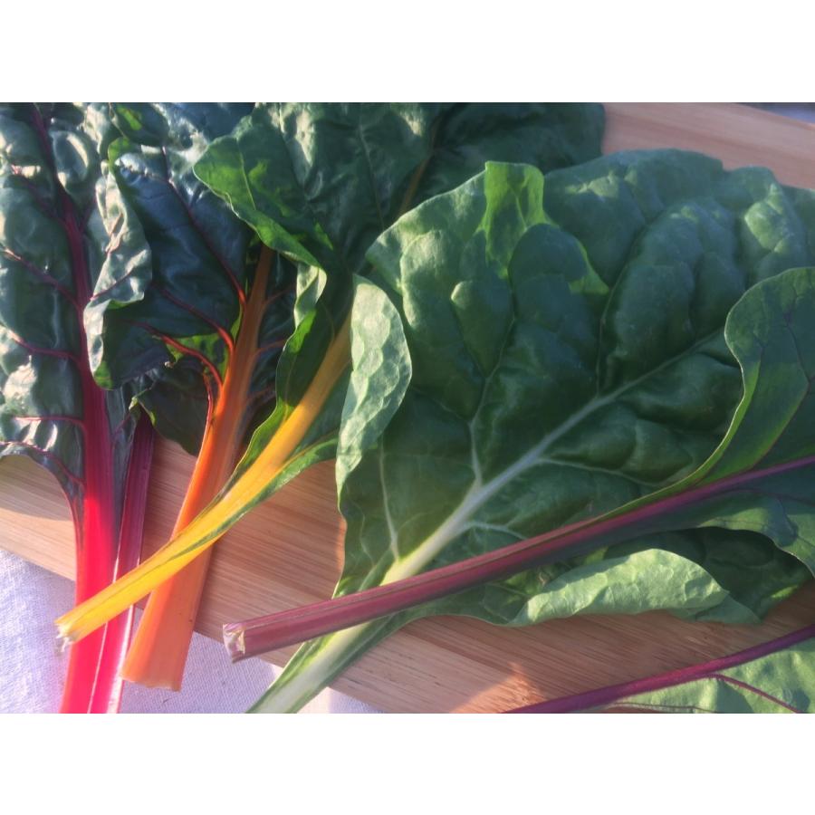 フレッシュグループ淡路島の香るハーブと彩り野菜セット　季節の１２〜１４種の厳選こだわり詰合わせ |  | 09