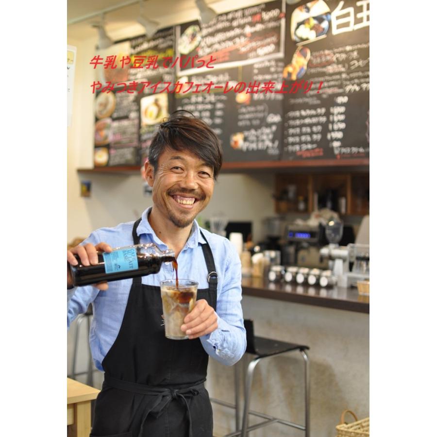 カフェオレベース 加糖 2本セット ギフト コーヒー ドリップコーヒーコーヒー 珈琲 無添加  アイスコーヒー  コーヒーギフト プレゼント |  | 02