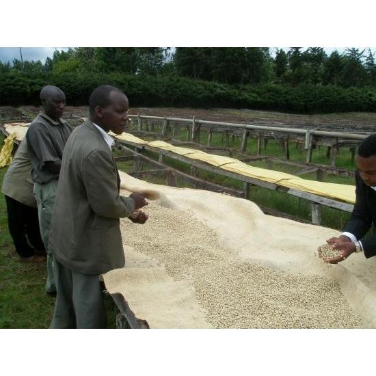 ドリップコーヒー コーヒー豆  ケニア レットマウンテン 100g 珈琲 珈琲豆 コーヒー粉 スペシャルティコーヒー コーヒーギフト エスプレッソ |  | 01