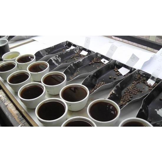 ドリップコーヒー コーヒー豆 ケニアレット マウンテン 200g スペシャルティコーヒー コーヒーギフト エスプレッソ 珈琲豆 |  | 02