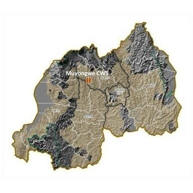 ドリップコーヒー コーヒー豆 ルワンダスカイヒルコプロカ 100g 珈琲 珈琲豆 コーヒー粉 スペシャルティコーヒー コーヒーギフト |  | 02