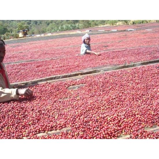 ドリップコーヒーコーヒー豆 エチオピア ストロベリーモカ 100g コーヒー 珈琲豆 コーヒーギフト スペシャルティコーヒー ギフト |  | 02