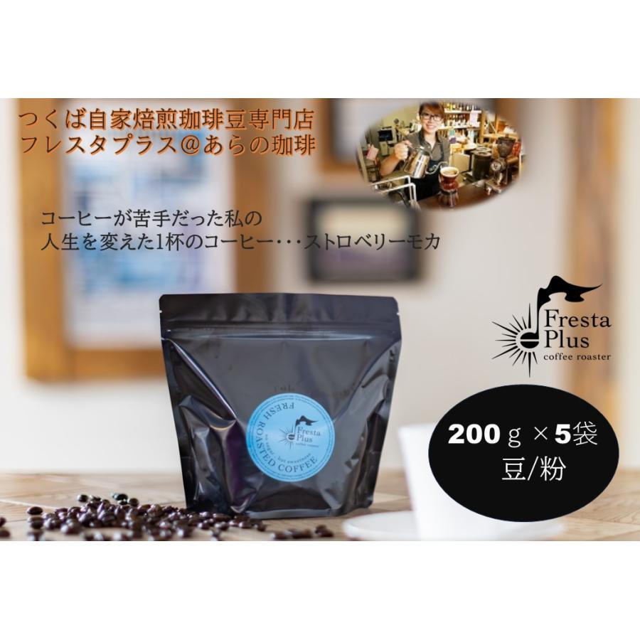 ドリップコーヒー コーヒー豆 エチオピア ストロベリーモカ 1kg スペシャルティコーヒー | 