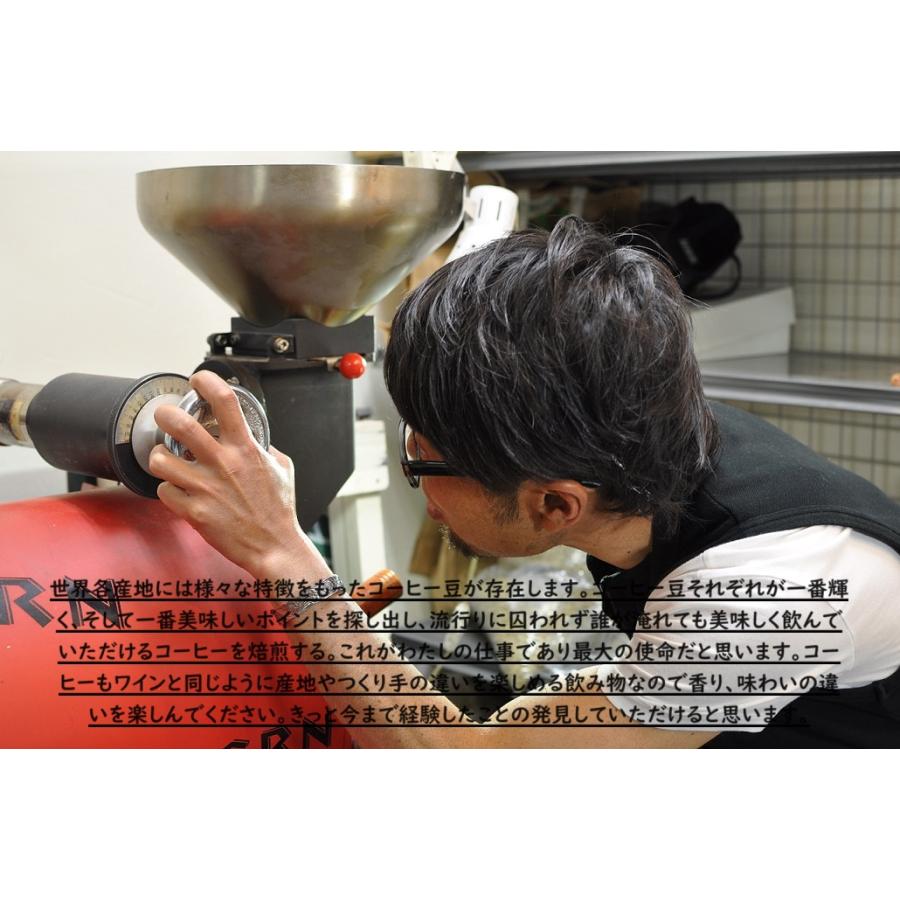 ドリップコーヒー コーヒー豆 マンデリン 100g コーヒー コーヒー粉 コーヒーギフト スペシャルティコーヒー |  | 03