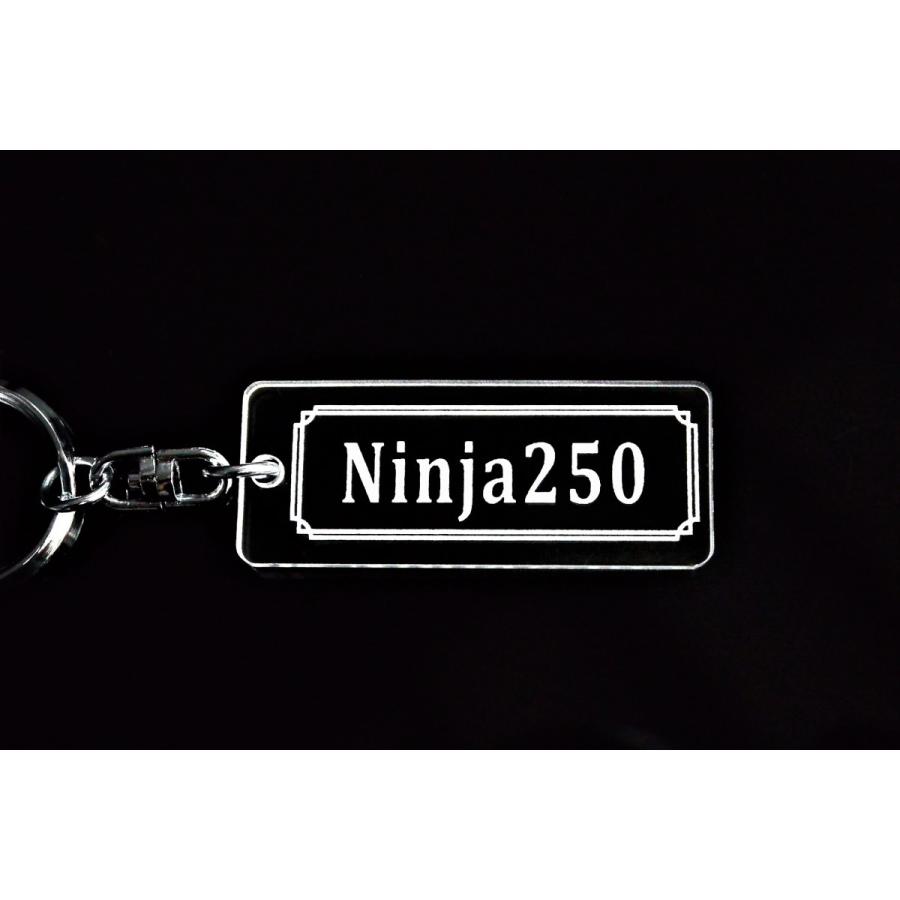 A-769 Ninja250 アクリル製 クリア 2重リング キーホルダー ニンジャ