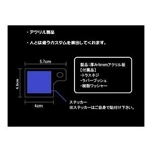 J-30-1 MONKEY ガラス調 自賠責ス テッカープレート 厚さ5mm モンキー125 モンキー フェンダーレス ナンバーフレーム 等に パーツ｜freya｜06