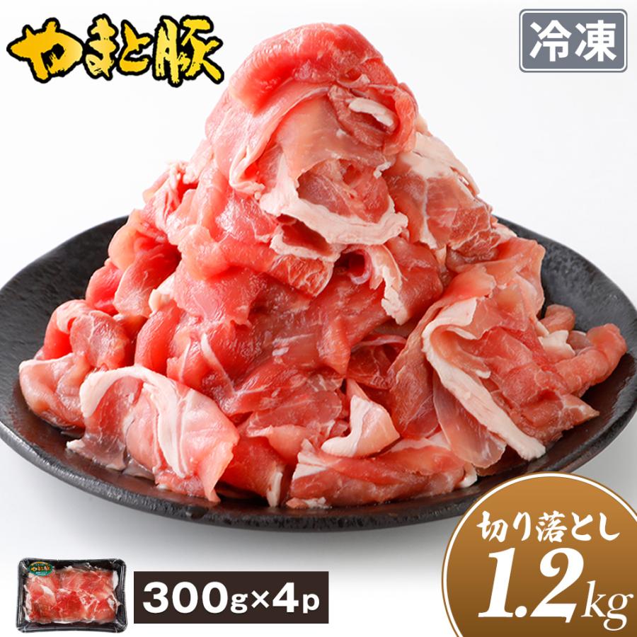 最大51％オフ！ 国産 やまと豚 切り落とし肉 メガ盛り1.5Kg 冷凍 送料無料 父の日 2022 お中元 豚肉 食べ物 ギフト 訳あり わけあり  切り落とし 小分 プレゼント 食品 commonstransition.org