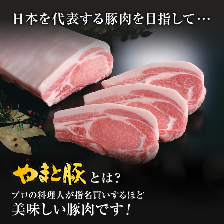 国産 やまと豚 切り落とし肉 メガ盛り 1.2Kg NS-DY  | [冷凍] グルメ 訳あり 肉 豚肉 切り落とし 豚こま 訳アリ肉｜frieden-shop｜05