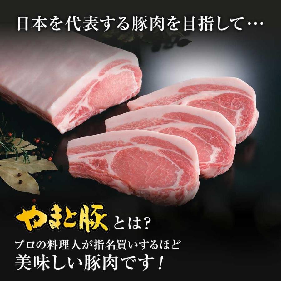 フリーデン 加工品 お試し セット NS-I | [冷蔵] 送料無料 父の日 母の日 プレゼント 食べ物 食品 内祝い ギフト ソーセージ 詰め合わせ ウインナー 取り寄せ｜frieden-shop｜12