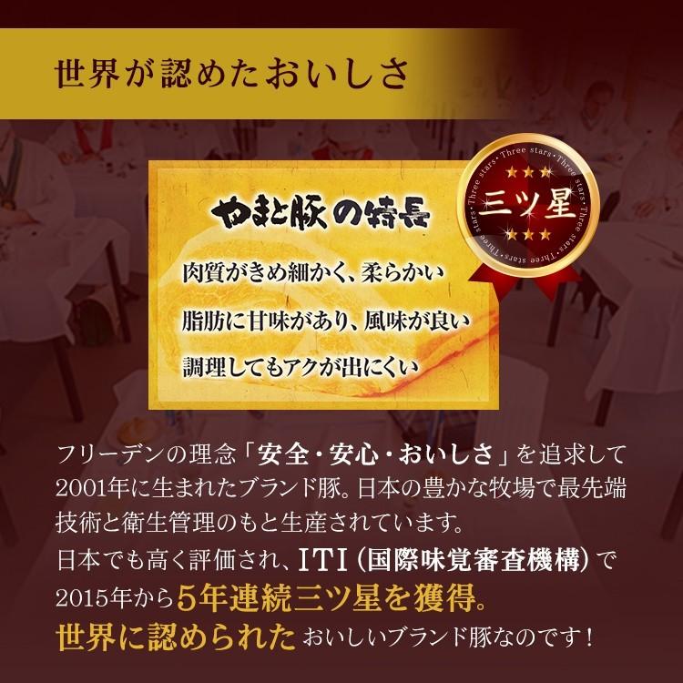 ウインナー ソーセージ 詰め合わせ ギフト 無塩せき NSG-A | [冷凍] 父の日 母の日 プレゼント 食べ物 70代 食品 内祝い 高級 ハム 無添加  美味しい お取り寄せ｜frieden-shop｜11