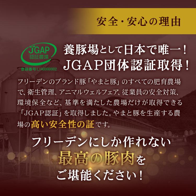 ウインナー ソーセージ 詰め合わせ ギフト 無塩せき NSG-A | [冷凍] 父の日 母の日 プレゼント 食べ物 70代 食品 内祝い 高級 ハム 無添加  美味しい お取り寄せ｜frieden-shop｜12