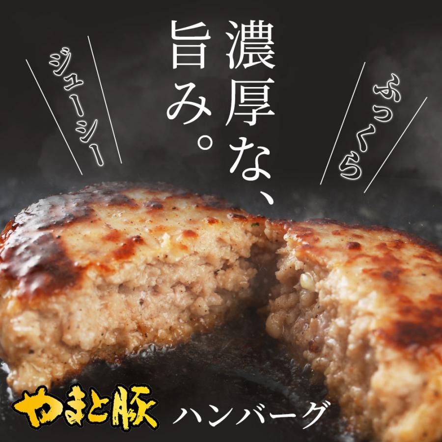 ハンバーグ メンチカツ 詰め合わせ 3.4kg NS-AY | [冷凍] 送料無料 父の日 母の日 プレゼント 食べ物 内祝い 取り寄せ ギフト セット お取り寄せグルメ 肉 食品｜frieden-shop｜03