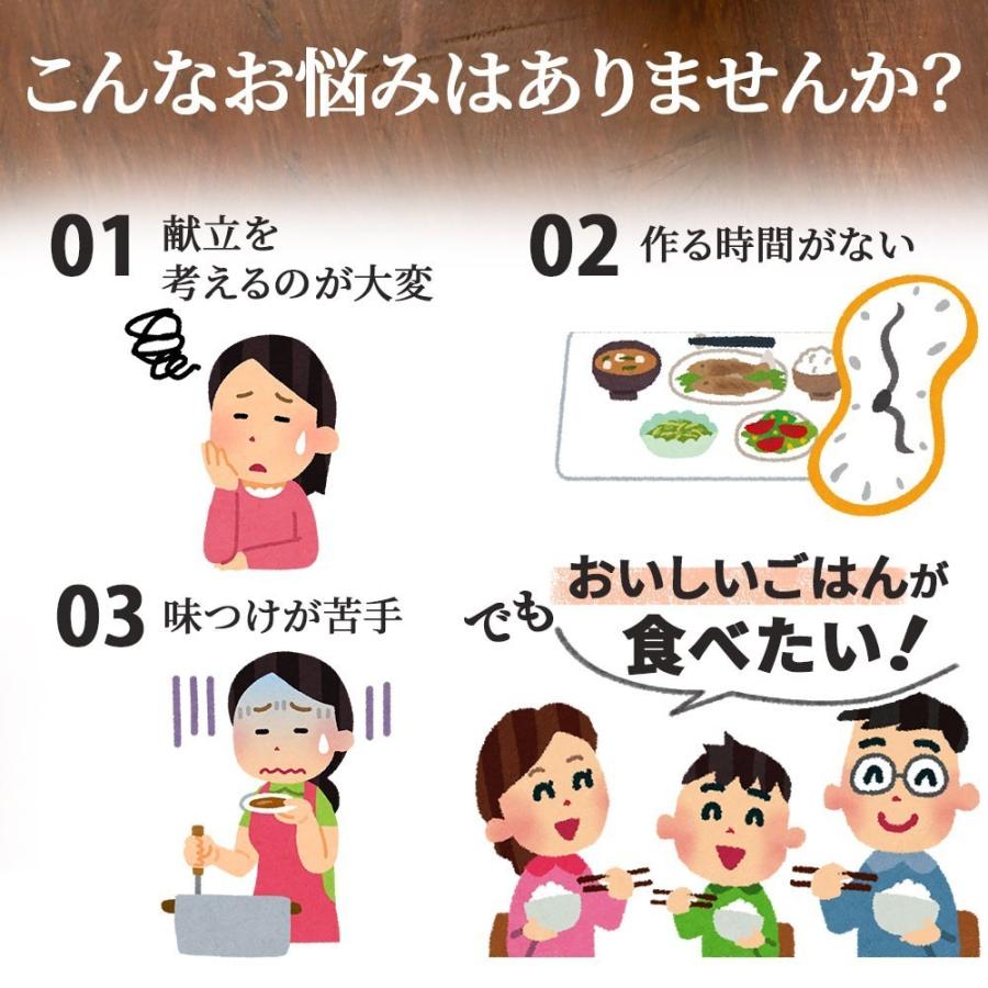 やまと豚 ロース 生姜焼 (2.1kg) 12P セット NS-BJ | [冷凍] 父の日 母の日 プレゼント 食べ物 内祝い 食品 ギフト 生姜焼き 豚肉 取り寄せ お取り寄せグルメ｜frieden-shop｜09