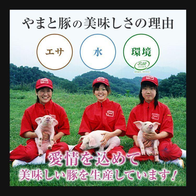 やまと豚 餃子 150個 2.7Kg NS-BQ | [冷凍] 父の日 母の日 プレゼント 食べ物 肉 食品 内祝い メガ盛り ギフト 取り寄せ 冷凍餃子 中華 中華料理 業務用 冷凍｜frieden-shop｜10