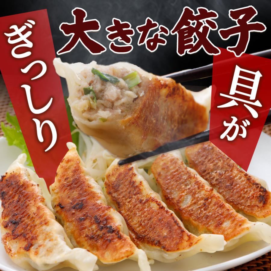 やまと豚 中華福袋 1.6kg NS-CJ  | [冷凍] 福袋 2024 食品 父の日 母の日 食べ物 内祝 メガ盛り 食品 餃子 焼売 取り寄せ 冷凍餃子 お取り寄せグルメ 詰め合わせ｜frieden-shop｜04