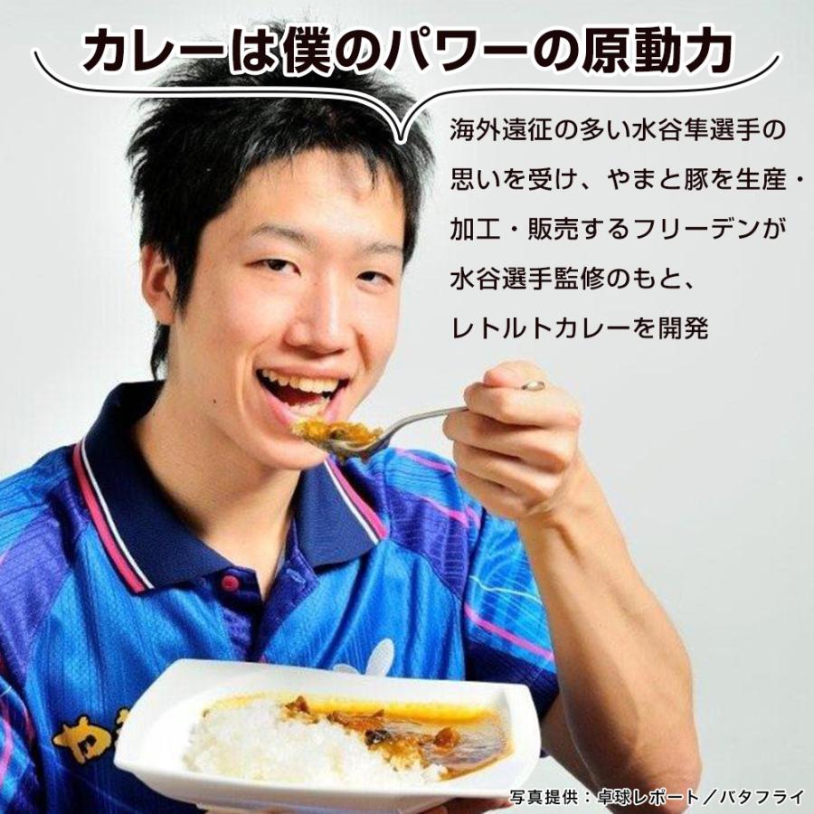 ファッション通販 水谷隼 ハンバーグハヤシ 2g 常温 レトルト レトルト食品 ハヤシライス ルー ソース 食品 常温保存 ハンバーグ 常温保存できる ご飯のお供 お取り寄せ Wantannas Go Id