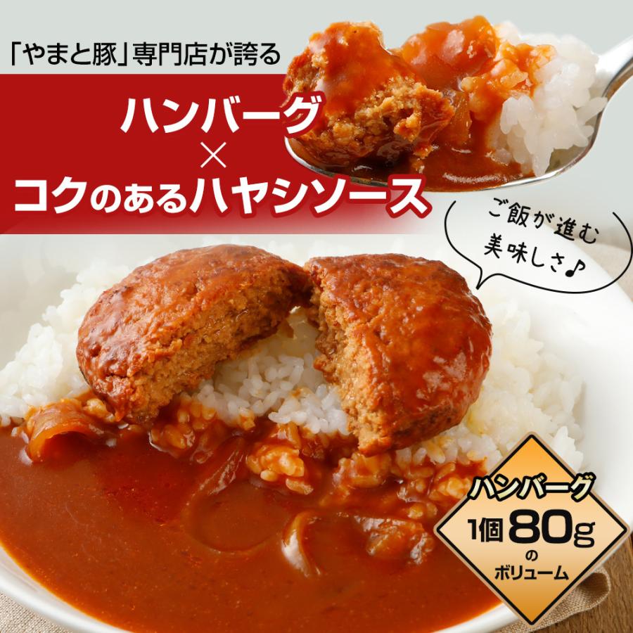水谷隼 ハンバーグハヤシ 2g 常温 レトルト レトルト食品 ハヤシライス ルー ソース 食品 常温保存 ハンバーグ 常温保存できる ご飯のお供 お取り寄せ 豚肉専門店 やまと豚のフリーデン 通販 Yahoo ショッピング
