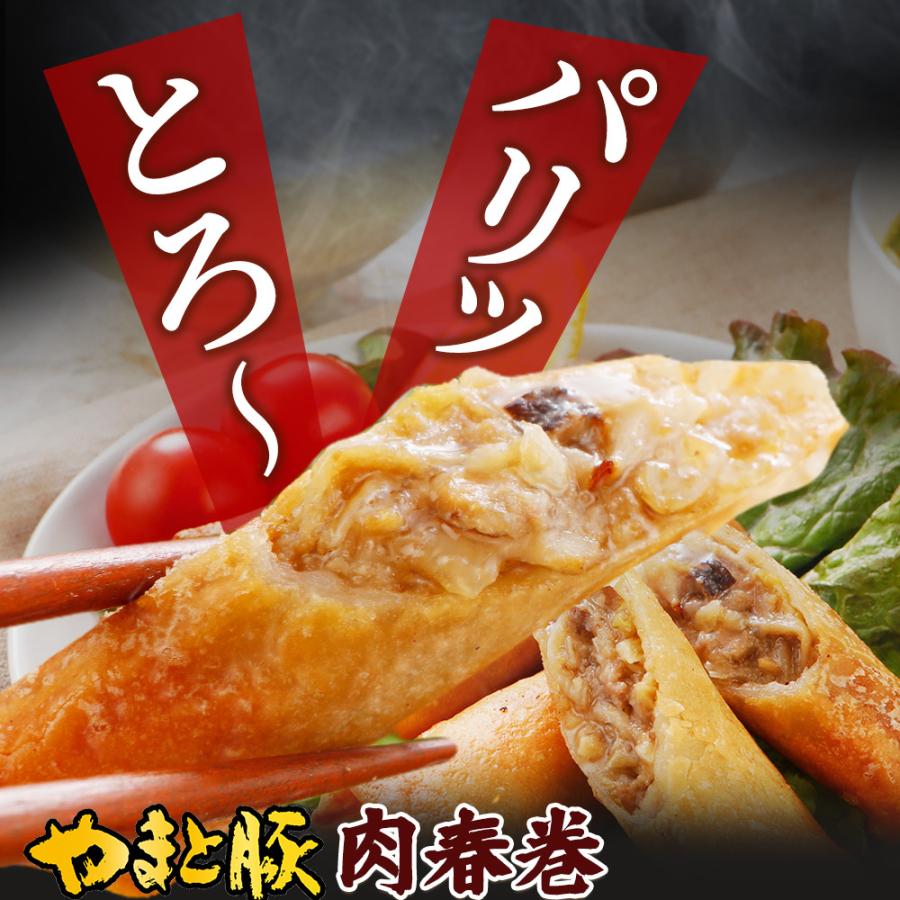 やまと豚 肉春巻 10本 冷凍 春巻 春巻き はるまき 冷凍 冷凍食品 業務用 点心 お取り寄せ グルメ 豚肉 ご飯のお供 食べ物 おかず 惣菜 お惣菜 内祝い お返し 豚肉専門店 やまと豚のフリーデン 通販 Yahoo ショッピング