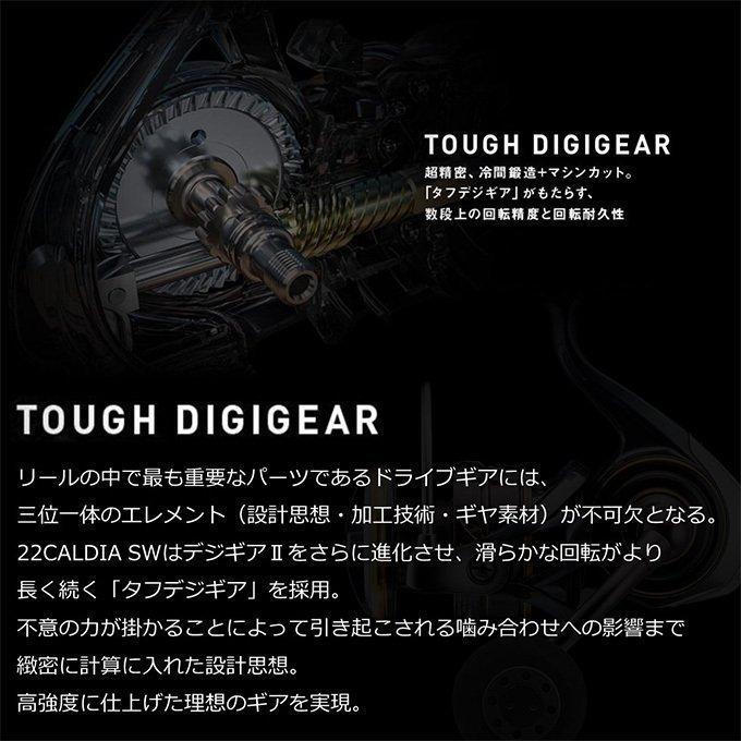 DAIWA（ダイワ） 22 カルディア SW 6000D-H : fishing&outdoor