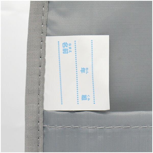 レッスンバッグ チェック柄(C00733) ファスナー 軽量 レッスンバック