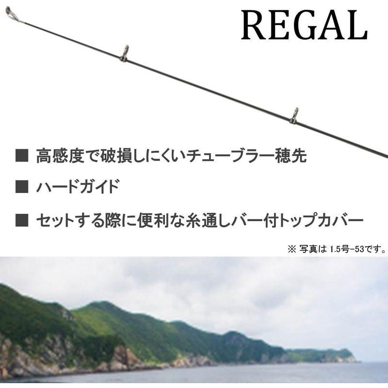 フィッシング DAIWA REGAL 4-53遠投