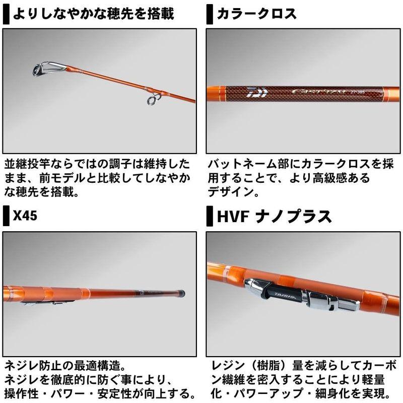 釣り用具 釣り 投げ竿 ダイワ(DAIWA) 並継投げ竿 キャスティズム・R 30  