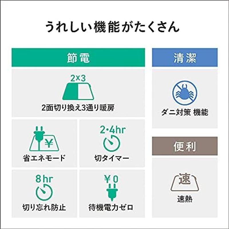  海外ブランド パナソニック ホットカーペット 電気カーペット トリプル断熱構造 省エネ タイマー機能 ダニ対策 2面切り替え 着せかえカバー付 3畳 DC