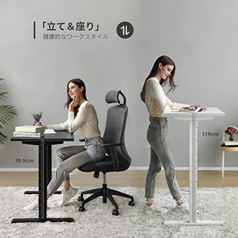 Sunon 電動昇降デスク（幅120cmX奥行60cm） 8分で組み立て 昇降式 