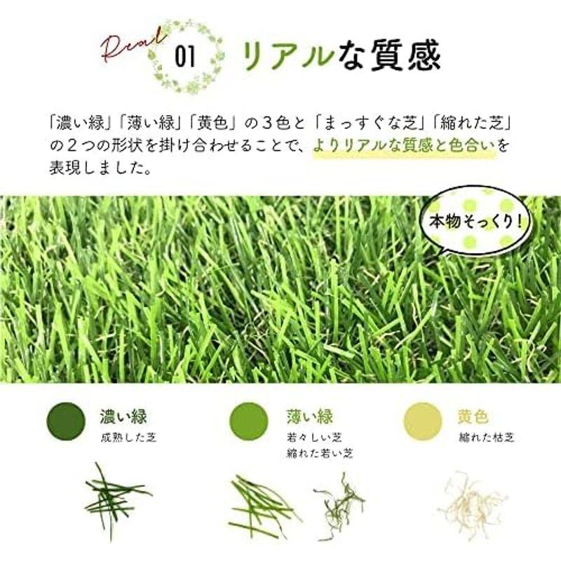 庭園・ガーデニング 人工芝 リアル質感 高密度でふかふか 雨の日にも安心 自由にカット 杭10本 リアル質感 高密度でふかふか 自由にカット 雨の日にも安心 杭10本