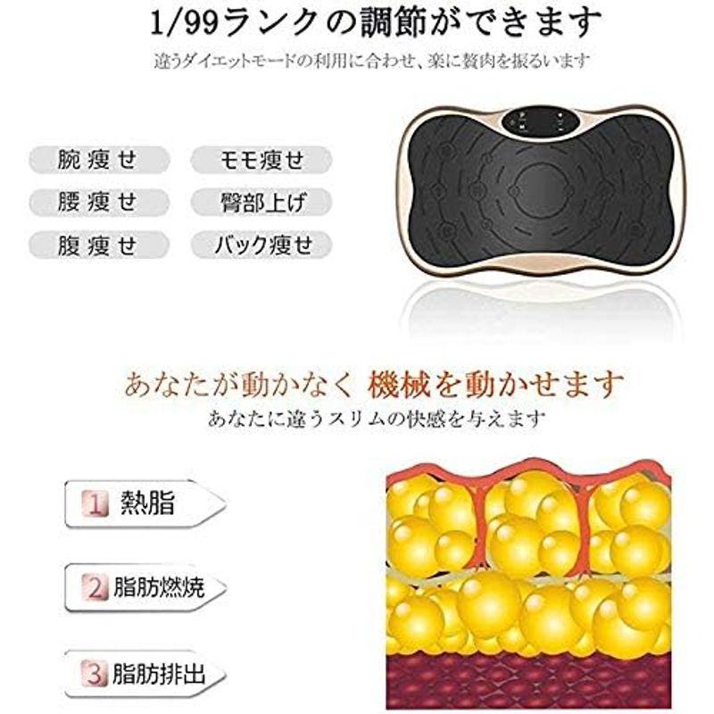 4d 振動 マシン8年保証 バランス ウェーブ 足 腰 ブルブル