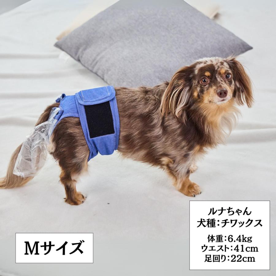 うんコロキャッチ M 小型犬用 中型犬用 男女兼用 うんちキャッチ 老犬