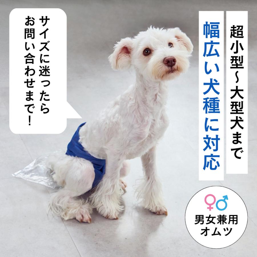 うんコロキャッチ XXS 2枚セット うんコロキャッチ XXL 大型犬用 男女兼用 うんちキャッチ 老犬オムツ