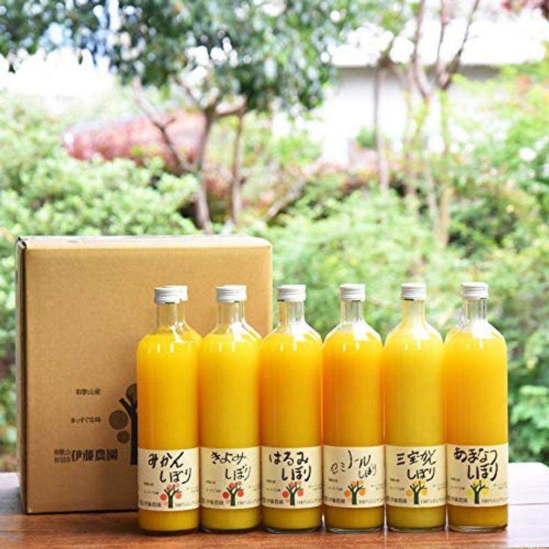 みかん 清見 はるみ 甘夏 など 伊藤農園 みかん ジュース きよみ ジュース 100% 無添加 750ml ×12本 ギフト 100％
