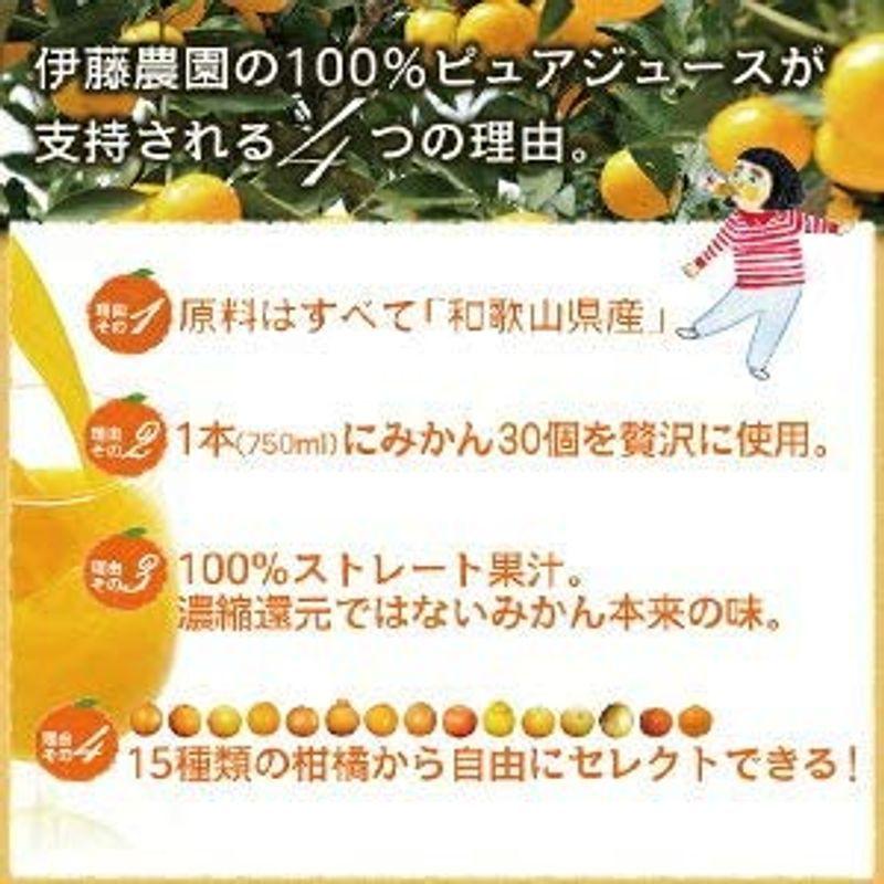 みかん 清見 はるみ 甘夏 など 伊藤農園 みかん ジュース きよみ ジュース 100% 無添加 750ml ×12本 ギフト 100％ みかん ジュース 清見 はるみ 甘夏 など 伊藤農園 きよみ 100% 無添加 750ml ×12本 ギフト 100％