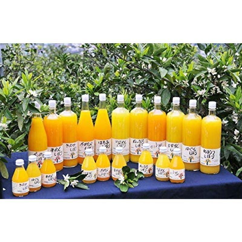 みかん 清見 はるみ 甘夏 など 伊藤農園 みかん ジュース きよみ ジュース 100% 無添加 750ml ×12本 ギフト 100％ みかん ジュース 清見 はるみ 甘夏 など 伊藤農園 きよみ 100% 無添加 750ml ×12本 ギフト 100％