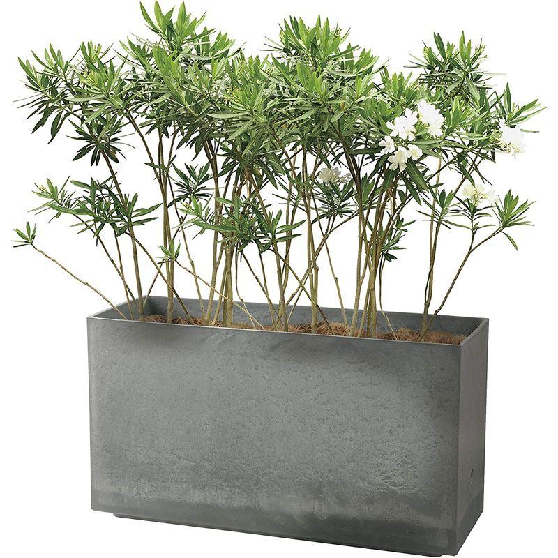 【超激レア】 リッチェル 大型プランター 陶器風 ホワイト 80×29.5×45cm ラヴィーレWS レクタングル 80型 底面給水機能付き 709040 【B7357315355】(25896円)