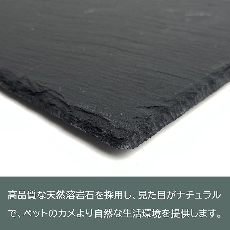 WEB限定】INSLIFE 亀乾燥ボード 床材 保温 溶岩 カメ 爪磨き 爬虫類・両生類 フードプレート 保湿 飼育ケース内装 30x15cm 底砂、 底材 Kaiyopop 亀乾燥ボード カメ 爪を磨く 溶岩プレート 爬虫類 リクガメ 床材 保温 保湿 溶岩 石 フードプレート 飼育ケース内装 底砂