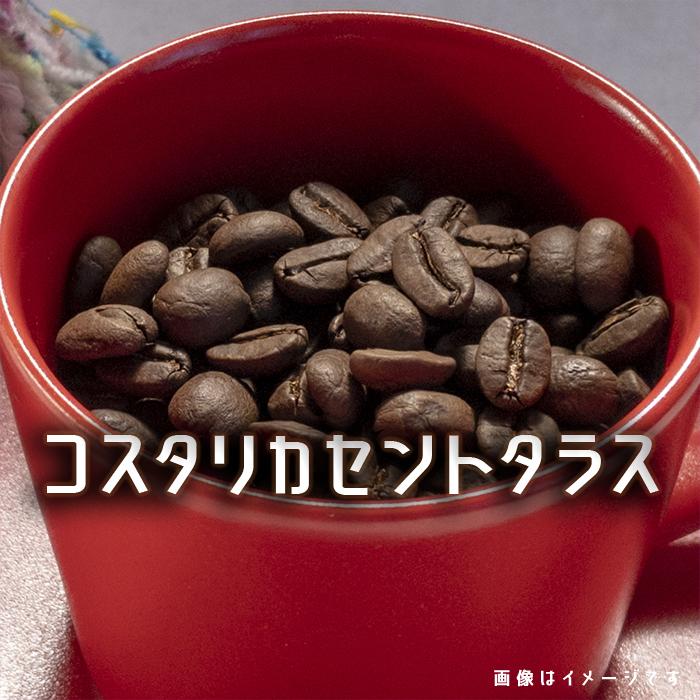 ちょこっと珈琲のお話 伊吹珈琲店