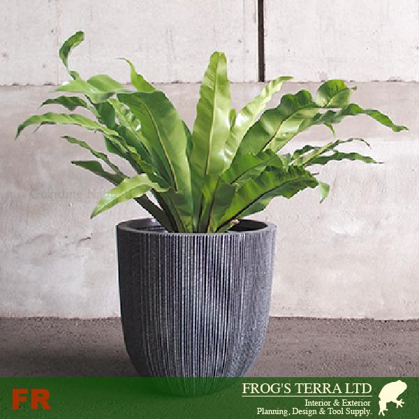 【法人宛限定商品】 ノルディックポット L PP花器（直径44cmxH44.5cm）（底穴なし）  鉢カバー ディスプレイ オフィス |  | 04