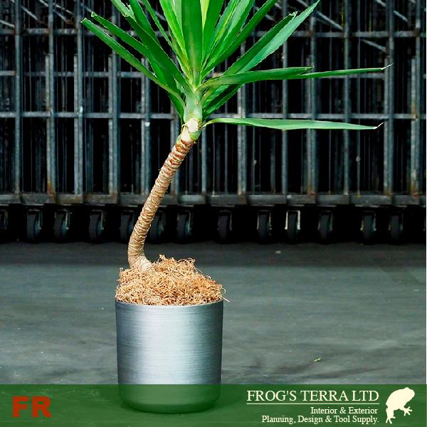 【法人/店舗宛】 FR シリンダー S FRP花器（直径21cmxH21cm）（底穴なし）  鉢カバー ディスプレイ オフィス |  | 04