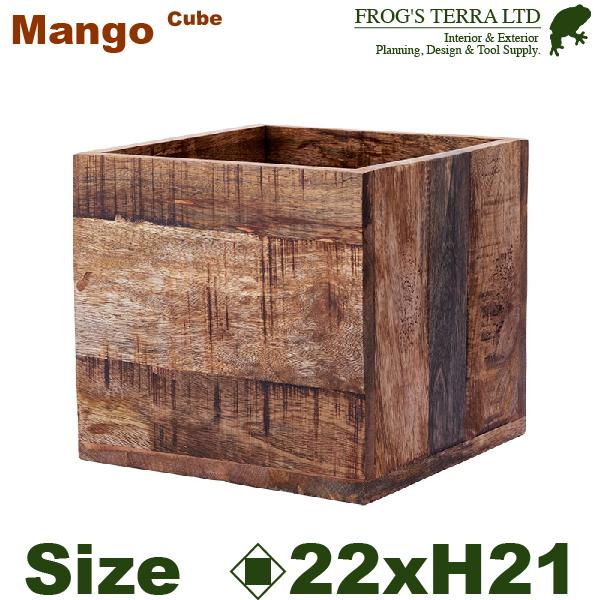【法人・店舗宛配送限定】 AMマンゴー ボックス H21cm（口22.5cmxH21cm） 花台 プランター オフィス |  | 01