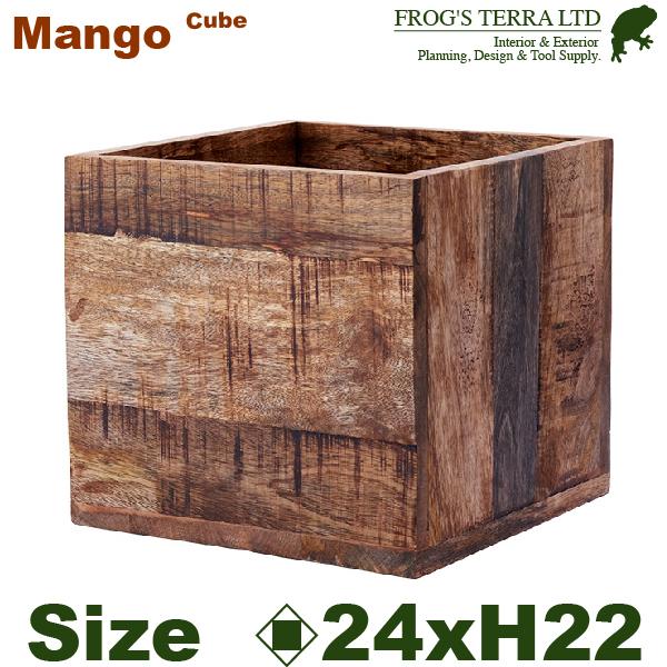【法人・店舗宛配送限定】 AMマンゴー ボックス H22cm（口24cmxH22cm） 花台 プランター オフィス |  | 01