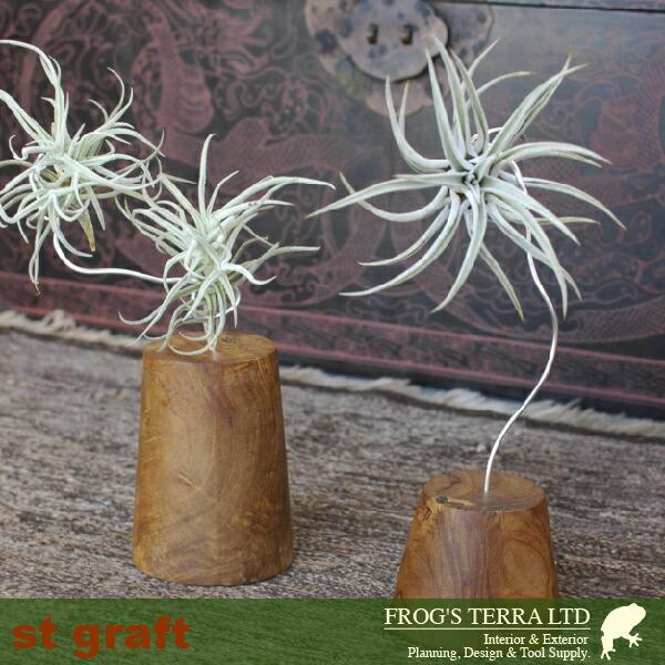 Air Plants Stand エアプランツスタンド（吊り飾り）（ガーデングッズ）（レアもの） |  | 02