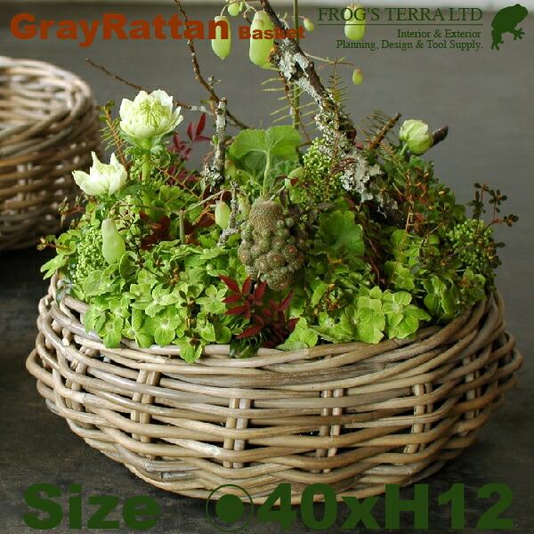 Gray Rattan Basket L B2294（直径40cm×H12cm）（底穴なし）（ラタン/藤）（植木鉢/鉢カバー）（プランター/寄せ植え/ポット） | 