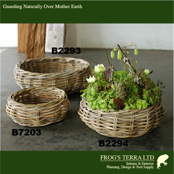 Gray Rattan Basket L B2294（直径40cm×H12cm）（底穴なし）（ラタン/藤）（植木鉢/鉢カバー）（プランター/寄せ植え/ポット） |  | 01
