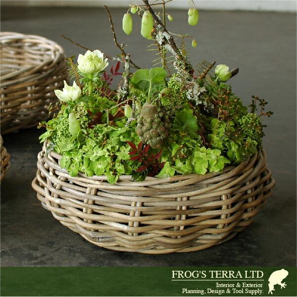 Gray Rattan Basket L B2294（直径40cm×H12cm）（底穴なし）（ラタン/藤）（植木鉢/鉢カバー）（プランター/寄せ植え/ポット） |  | 03