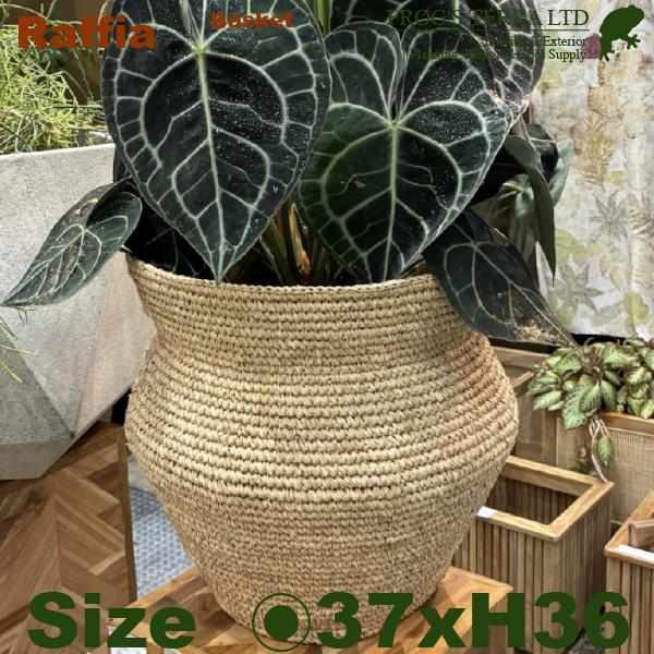 Raffia Basket L B5241（直径37cm×H36cm）（底穴なし）（8号対応）（植物繊維/ヤシ繊維）（植木鉢/鉢カバー）（プランター/寄せ植え/ポット） |  | 02